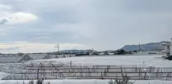 Antalya'da Kuvvetli Yağış Sebebiyle Seralara Zarar