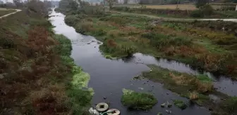 Prof. Dr. Sarı'dan Gönen Çayı Kirliliğine Önemli Uyarı