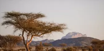 Müslümanlar, Hazreti Muhammed'in Hicret Rotalarında Yürüyüşe Çıktı