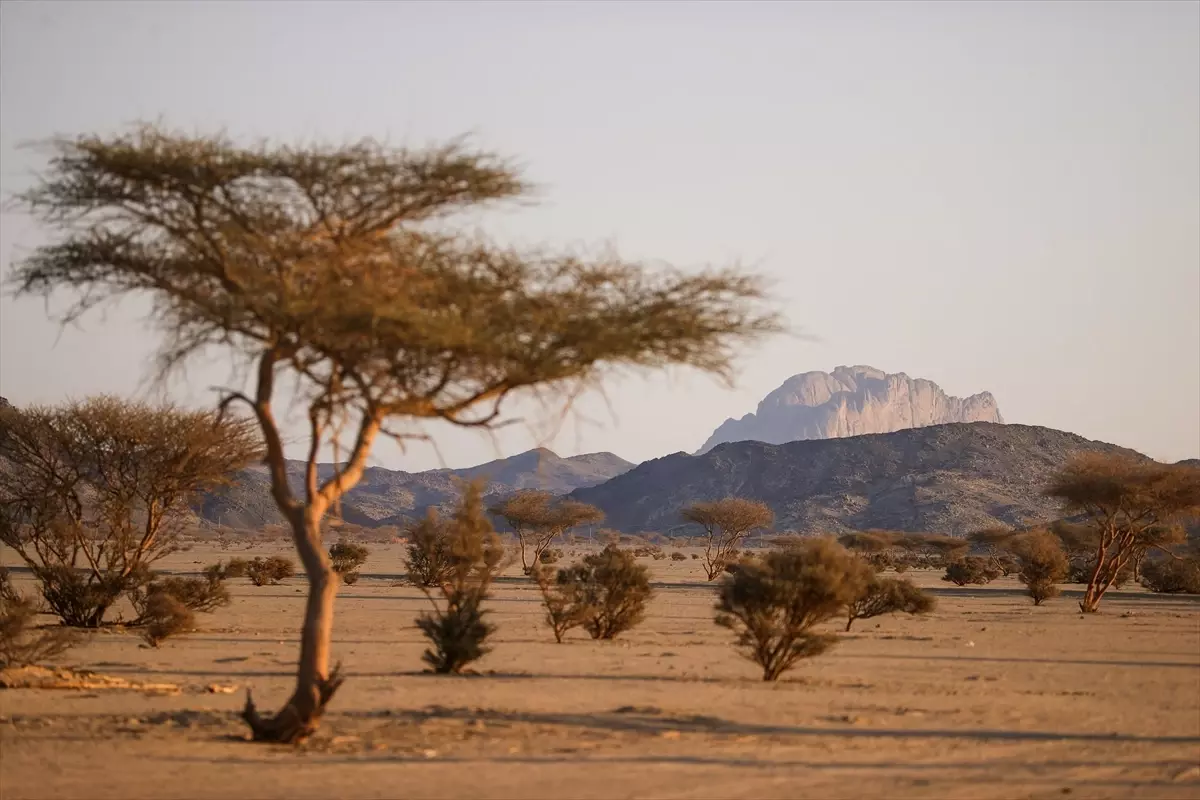 Müslümanlar, Hazreti Muhammed'in Hicret Rotalarında Yürüyüşe Çıktı
