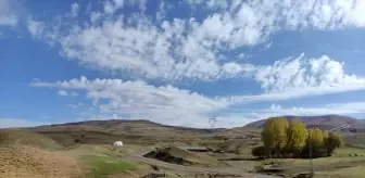 Karlıova'da Mezra Yolları Asfaltlandı