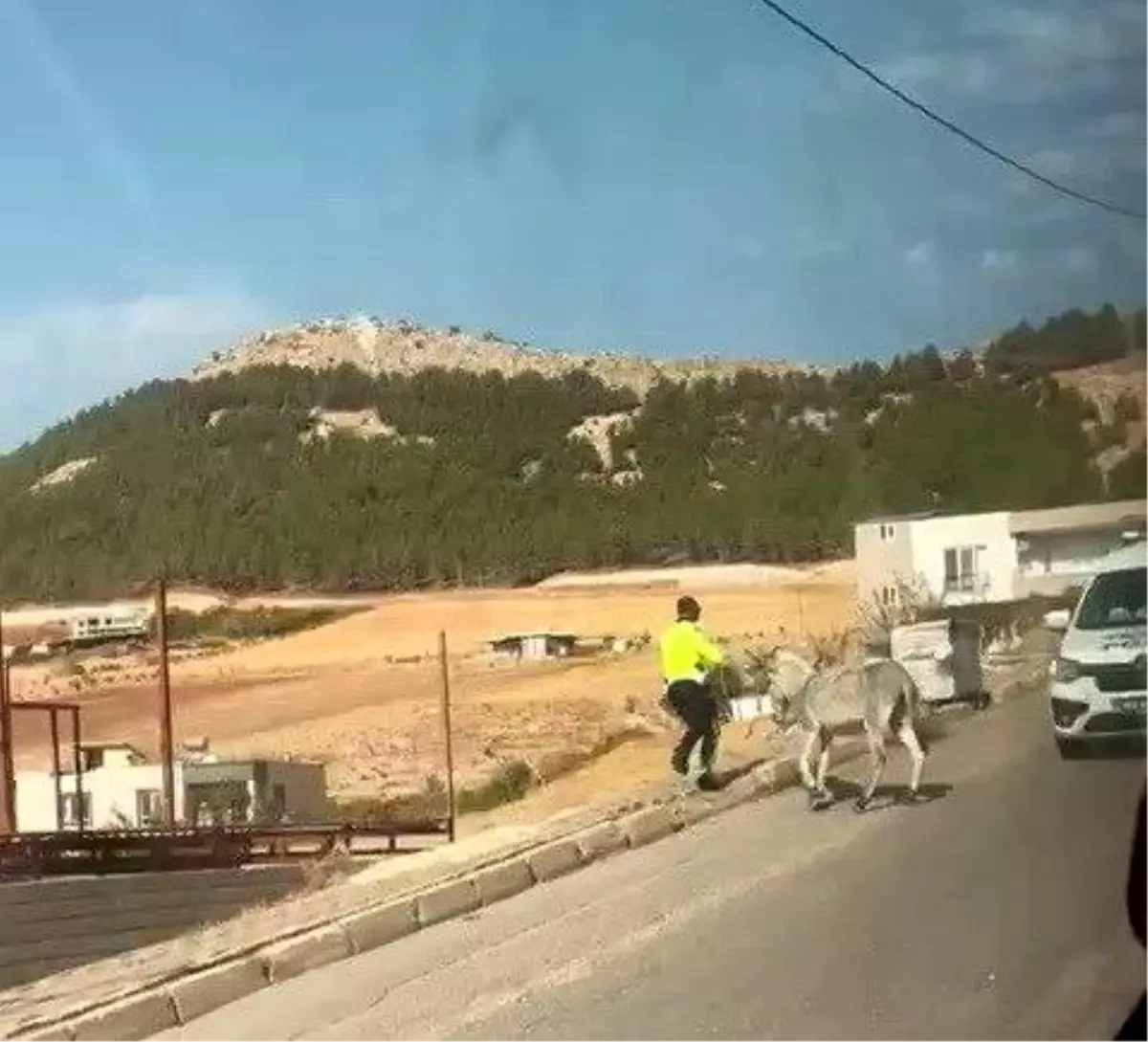 Adıyaman'da Başıboş Eşeğe Polis Müdahalesi
