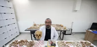 Malazgirt'teki kazılarda çıkarılan insan iskeletlerinin sırrı antropoloji laboratuvarında araştırılıyor