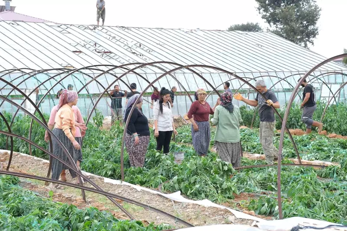 Mersin Bozyazı'da Hortum ve Fırtına Seraları Vurdu