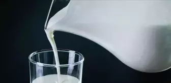 Süt dokunuyor diye hemen laktozsuz ürünlere yönelmeyin! Bilimsel çözüm sütü bırakmak değil