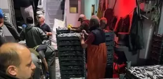 Sinop'ta Hamsi Avcılığında Kontrol ve Denetim Çalışmaları Başlatıldı