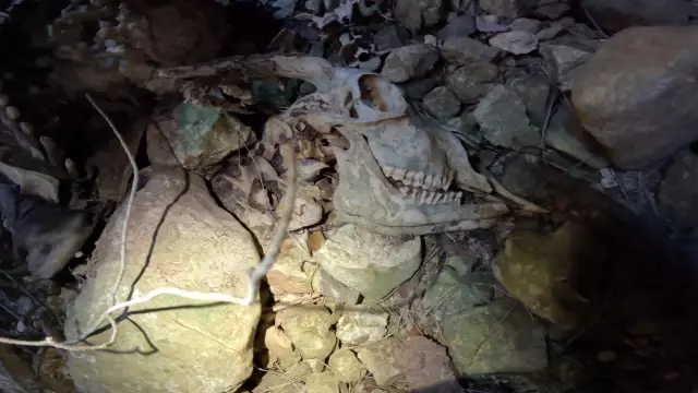 90 metrelik obruga inis anini kaydetti 7 19231598 o