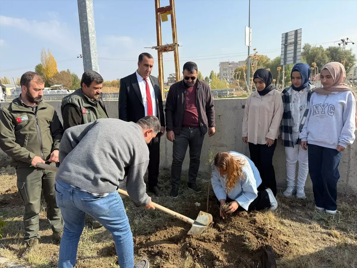 Muş'ta Fidan Dikim Etkinliği Düzenlendi