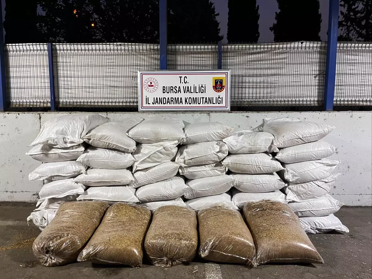Bursa'da Kaçak Tütün Operasyonu: 5 Gözaltı ve Tons of Ele Geçirildi