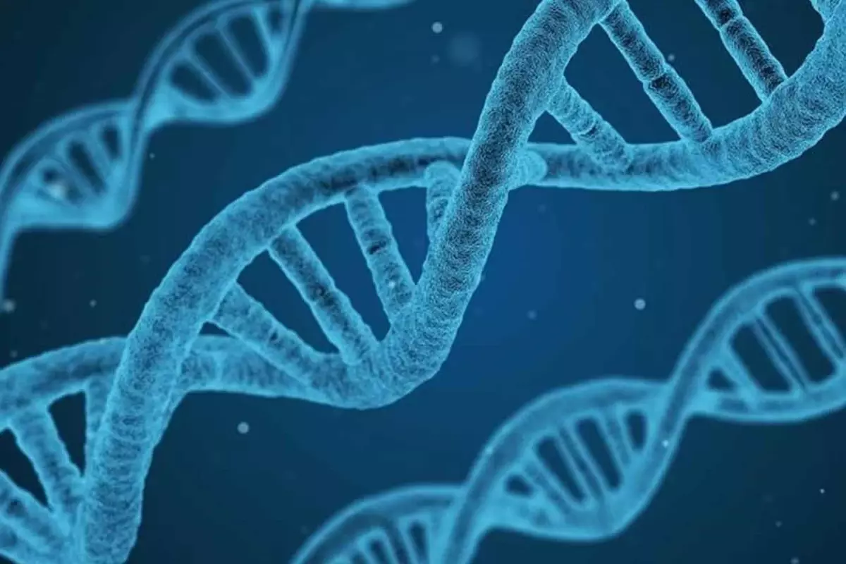 DNA'nın yapısını keşfeden Nobel ödüllü bilim insanı James Watson hayatını kaybetti