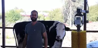 Davut Budamlı'nın Çiftlik Hayali Gerçek Oldu