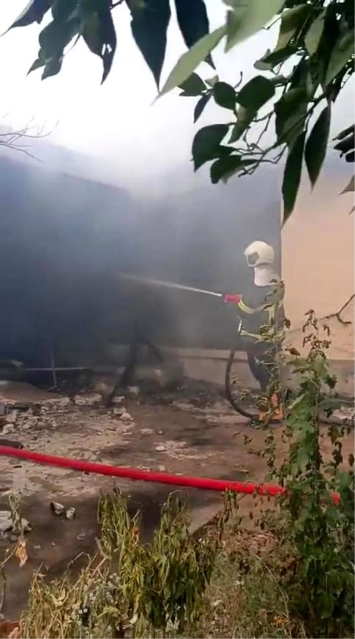 Ceyhan'da Yangın: Bedensel Engelli Kadın Hayatını Kaybetti