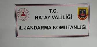 Hatay'da Bahçede 12 Kilo Uyuşturucu Bulundu, Şüpheli Tutuklandı