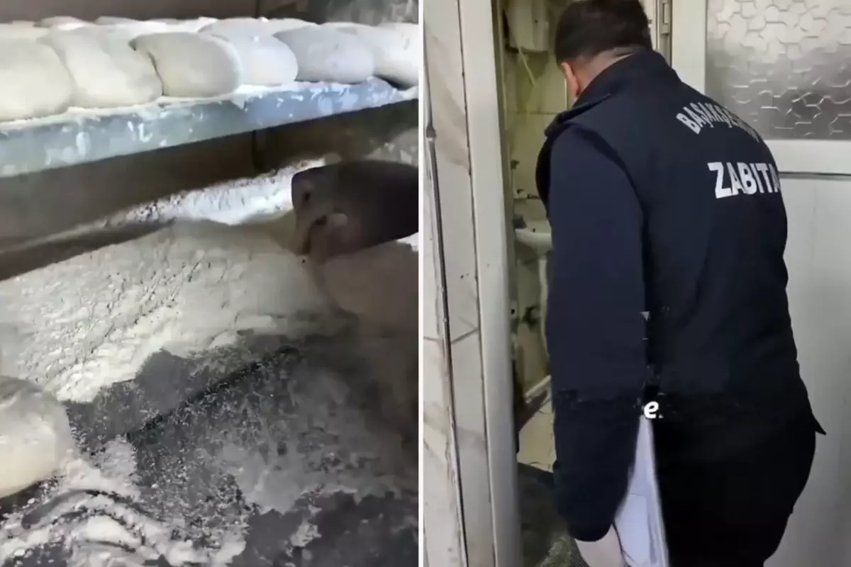 İstanbul'da ekmek fırınında mide bulandıran görüntüler