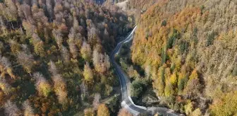 Sonbahar Renkleri Sinop'ta Görsel Şölen Sunuyor