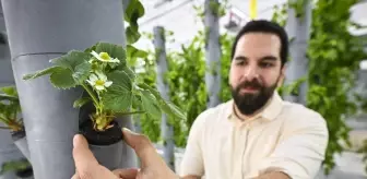 Topraksız dikey tarım uygulamaları enerjide tasarruf ve yüksek verimlilikle geleceğe umut oluyor
