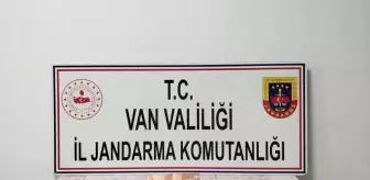 Van'da Gümrük Kaçağı Sigara Ele Geçirildi