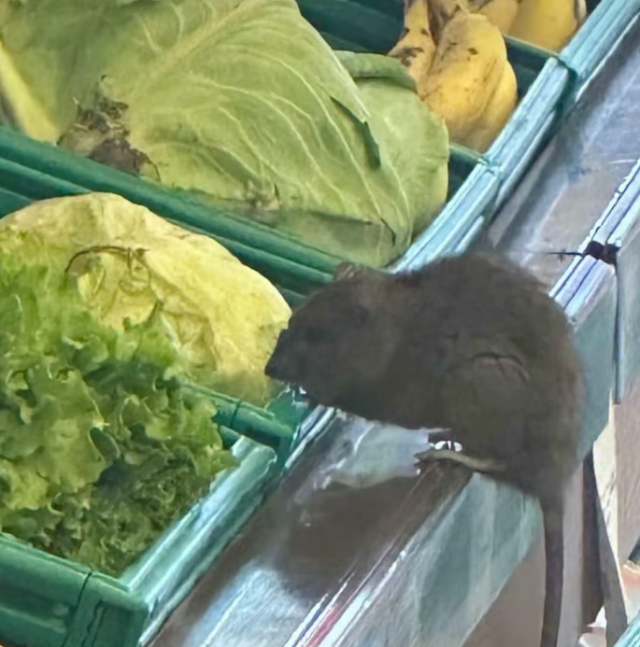 3 harfli market zincirinde skandal goruntu 19234857 1516 m