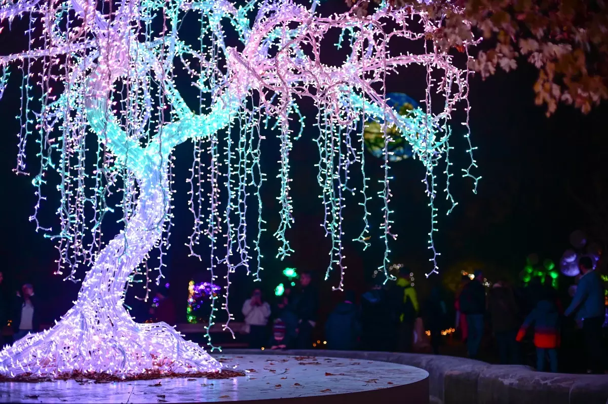 Varşova'da 'Sihirli Botanik Bahçesi' Işık Gösterisi Başladı