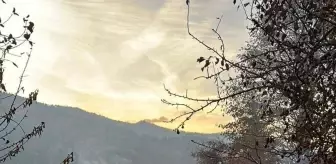 Karabük'te Yangın: 5 Kişi Dumandan Etkilendi