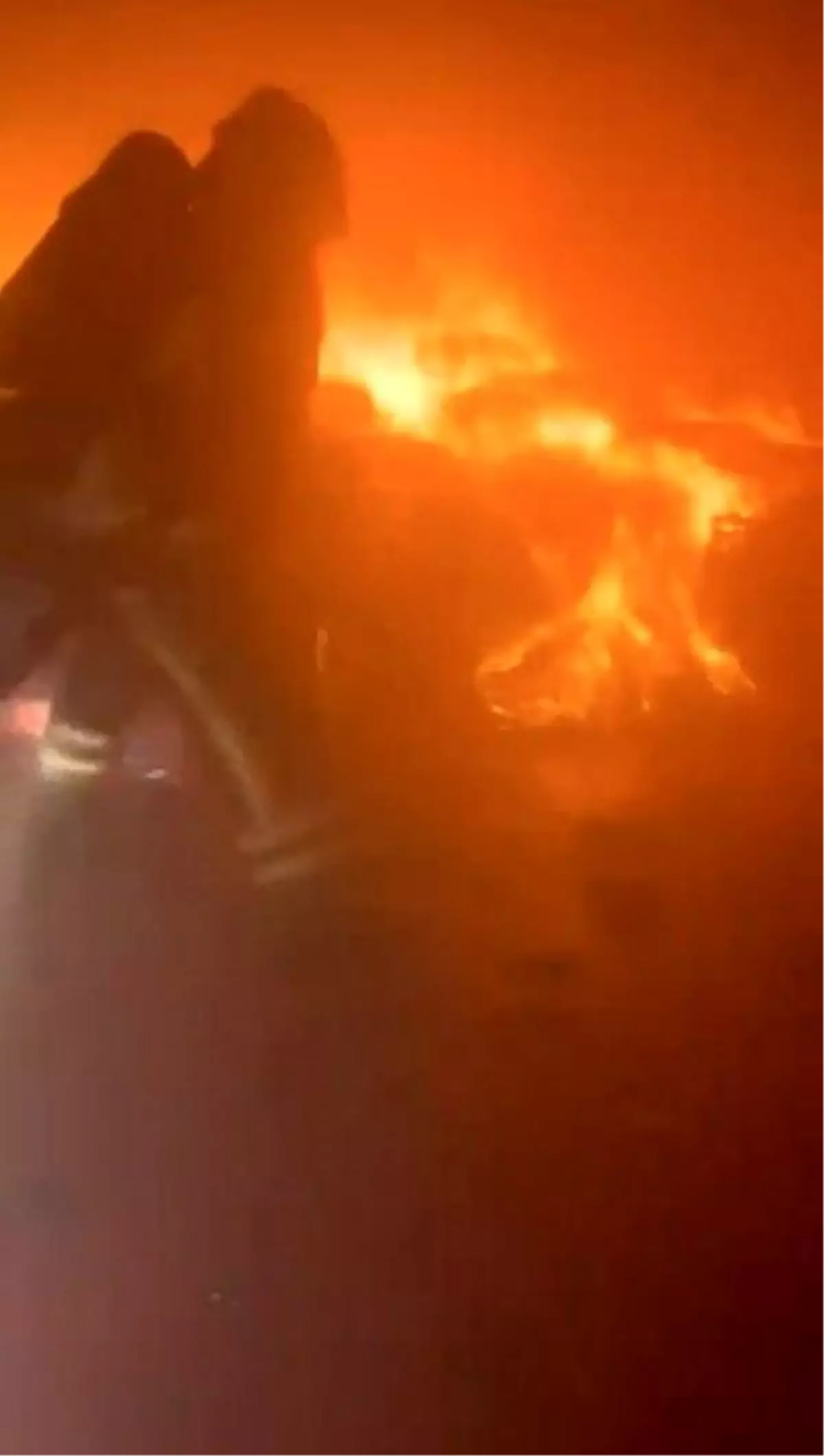 Bursa'da Kuruyemiş Fabrikasında Yangın Paniği