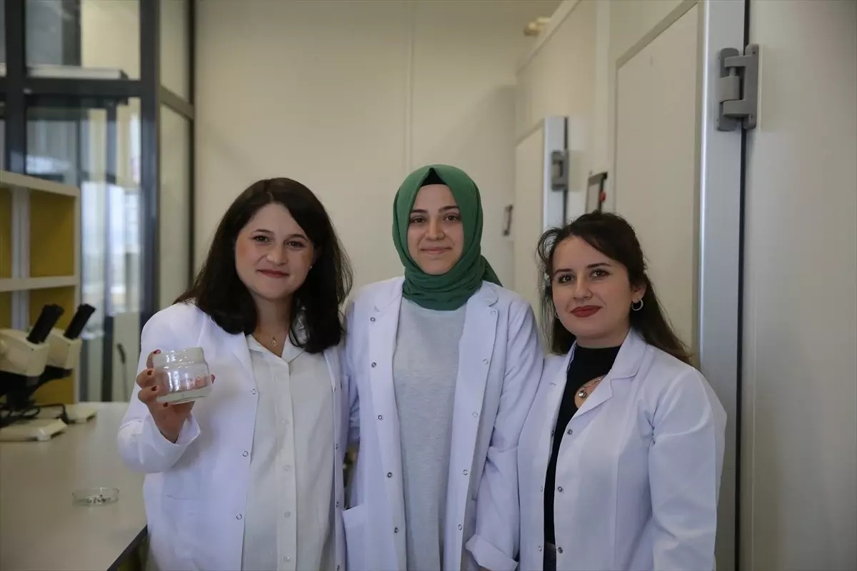 Geliştirilen Tohum Kaplama Malzemesi ile Sürdürülebilir Tarım Hedefleniyor