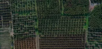 Bursa'da Yer Altı Sularındaki Azalma Kısmi Çökmelere Yol Açabilir