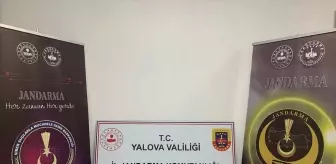 Yalova Merkezli Siber Dolandırıcılık Operasyonu: 8 Tutuklama
