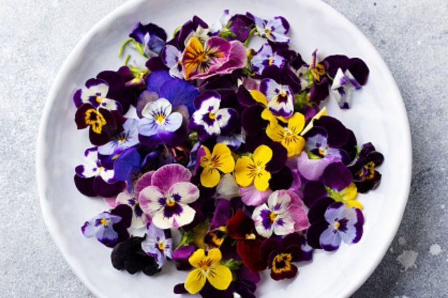 gastronomide yeni trend yenilebilir cicekler 19239395 2840 m