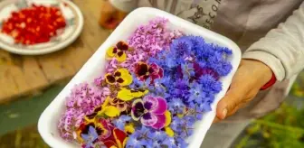 Gastronomide yeni trend: Yenilebilir çiçekler gündemde