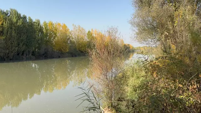 hastaneden ayrildi kayiplara karisti polis 19238361 673 m