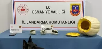 Otobüs Bagajında Bal Kabağından Uyuşturucu Çıktı: 1 Tutuklama