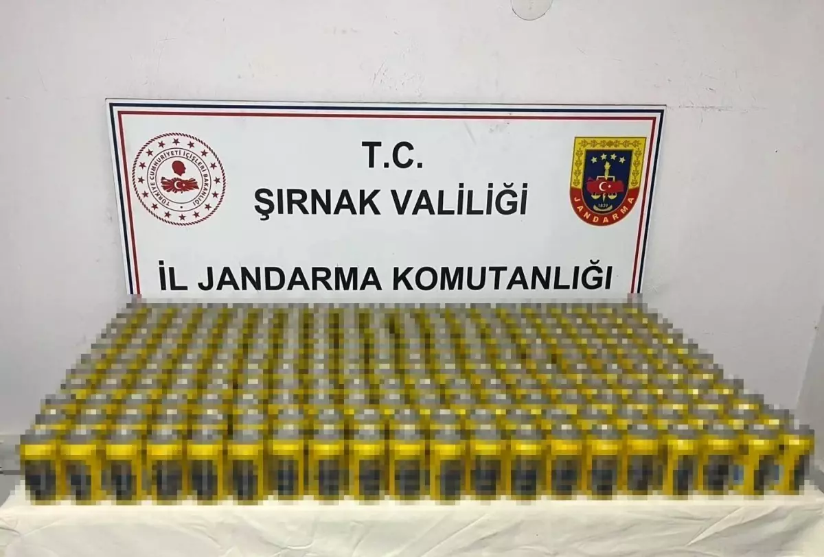 Şırnak'ta Kaçakçılık Operasyonları: 91 Şüpheli Yakalandı