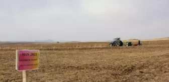 Sivas'ta 5 Farklı Ekmeklik Buğday Çeşidi Toprakla Buluşturuldu