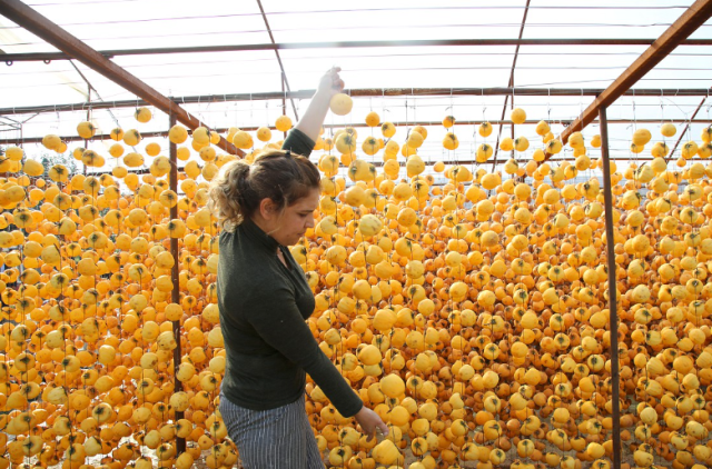 bahceden toplayip sobada 2 ay kuruttuktan sonra 19241054 3097 m