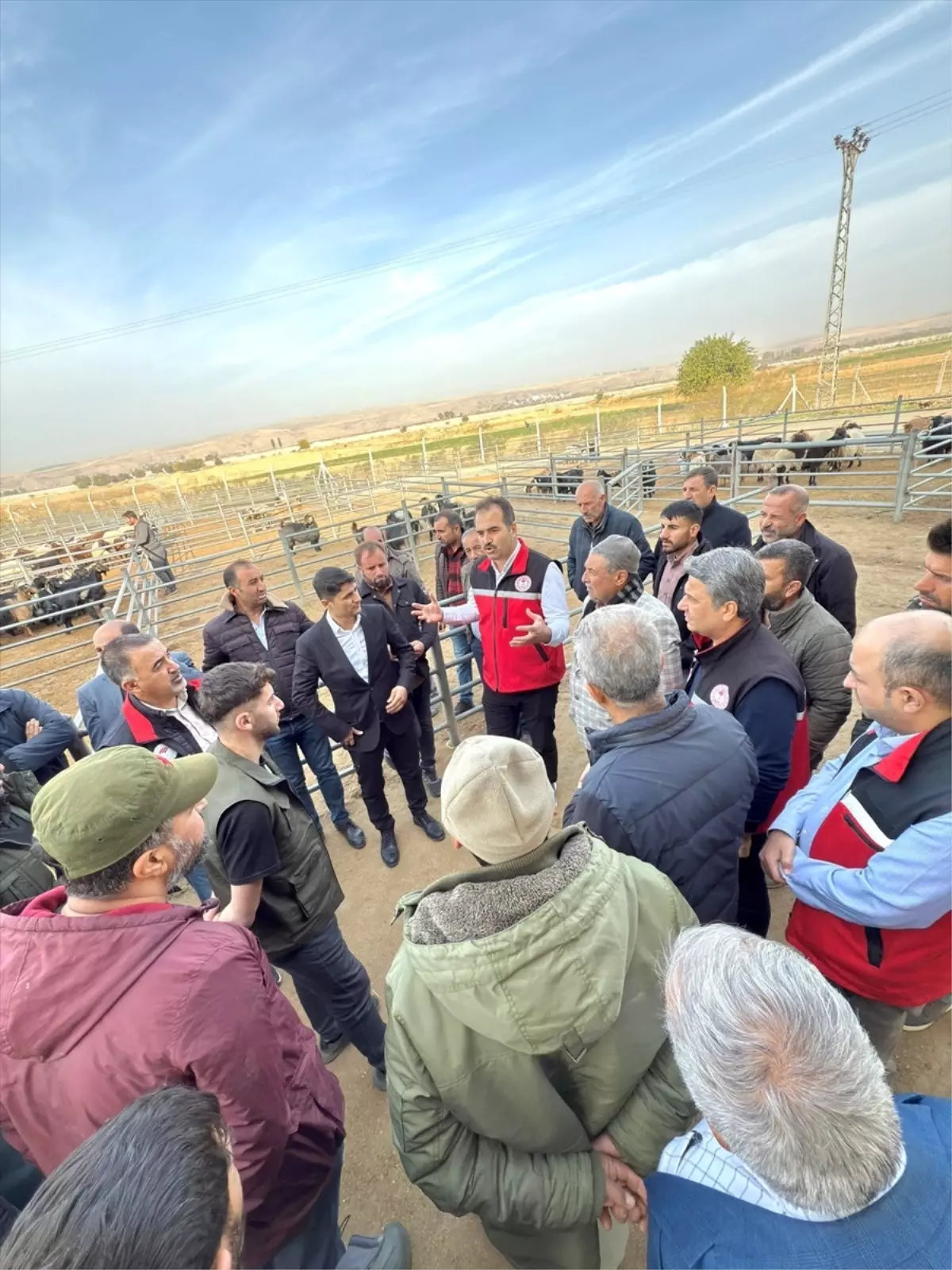 Batman'da Hayvan Pazarı ve Kesimhanede İncelemeler