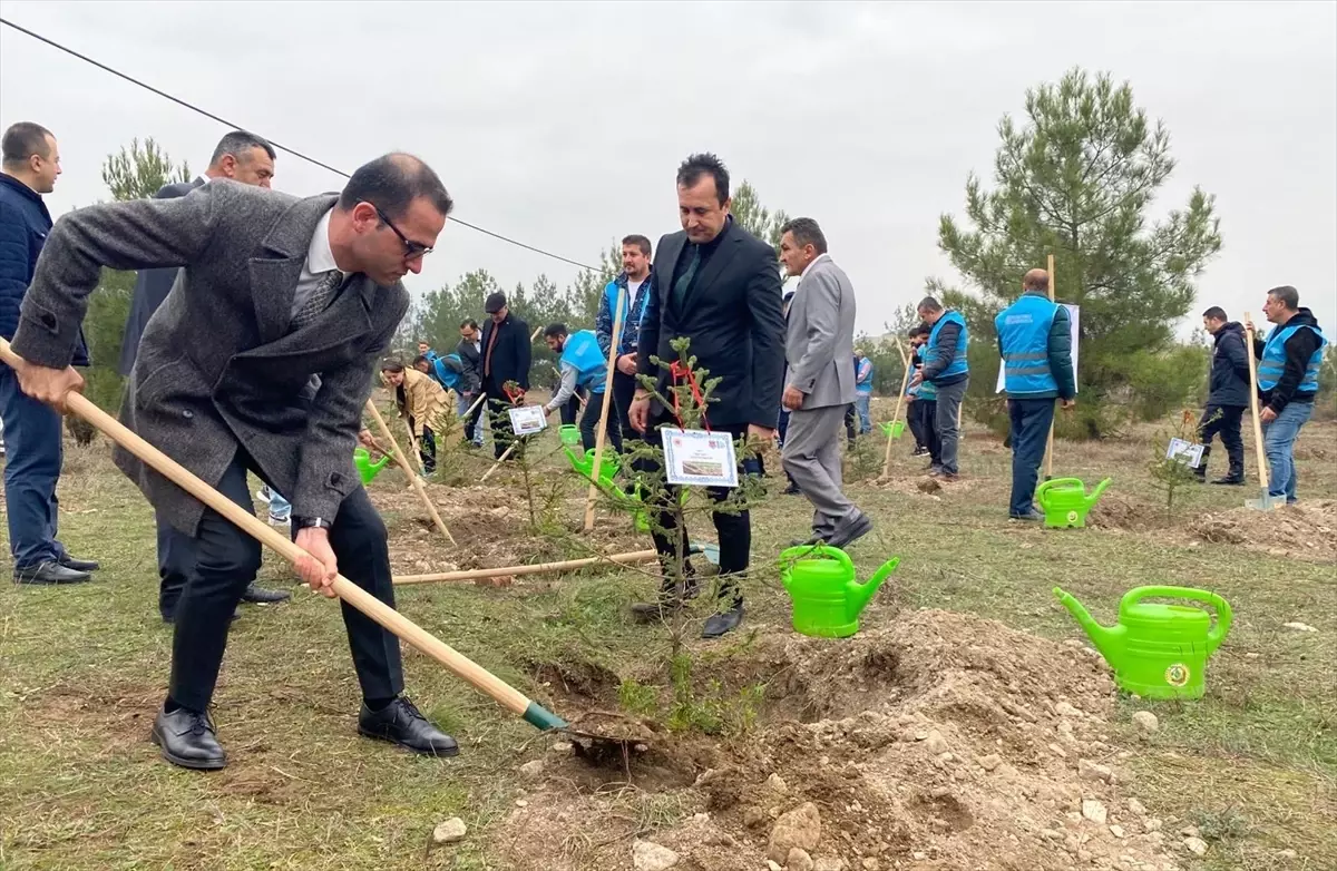 Sinop'ta Milli Ağaçlandırma Günü Kutlandı