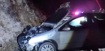 Erzincan'da Ayıya Çarpan Otomobilde 1 Kişi Yaralandı