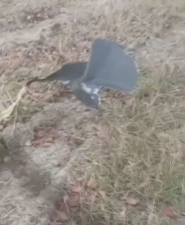 gurcistan da dusen askeri kargo ucaginin 19244009 1428 m