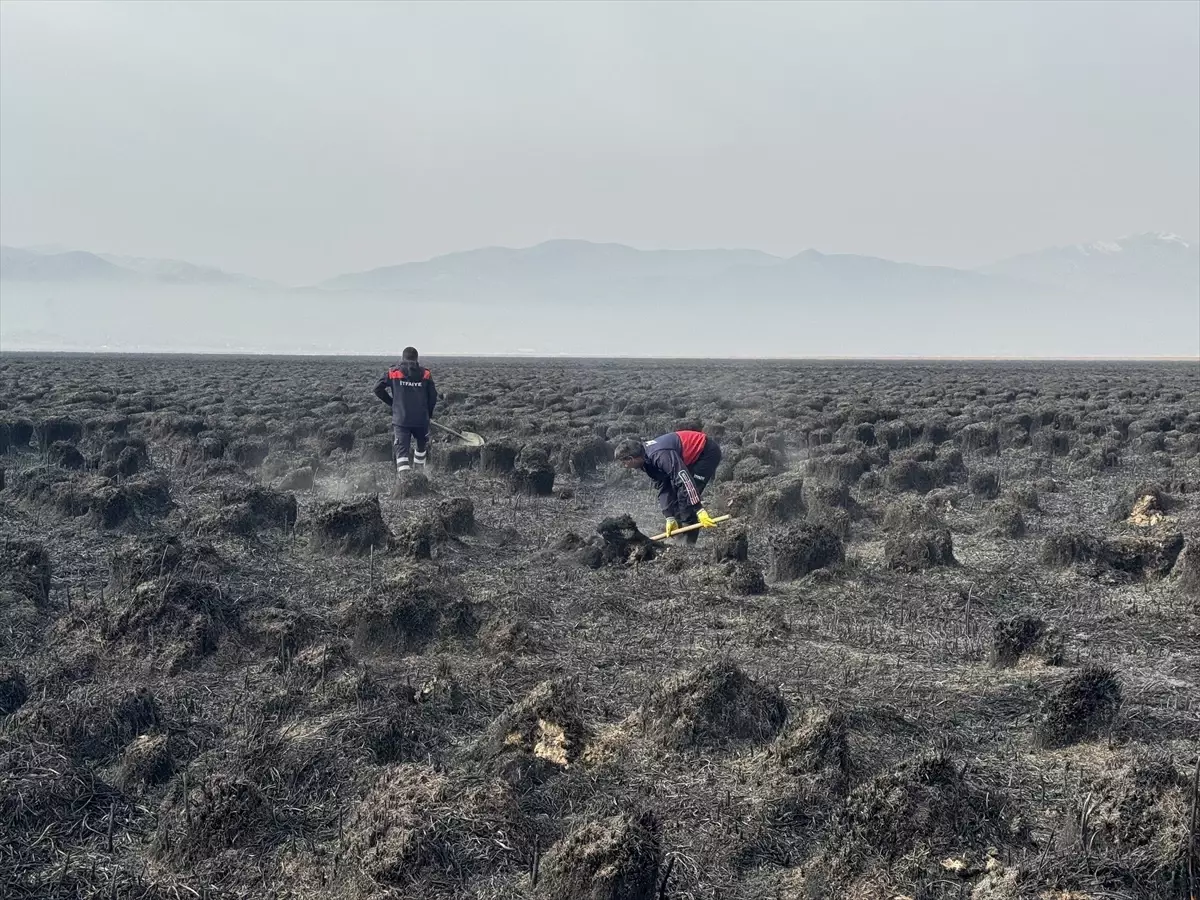 Hakkari'deki Yangın Nehil Sazlığı'nı Tehdit Etti