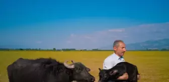 Mehmet Emin Coruş, Huawei XMAGE Ödülleri'nde Dünya İkincisi Oldu