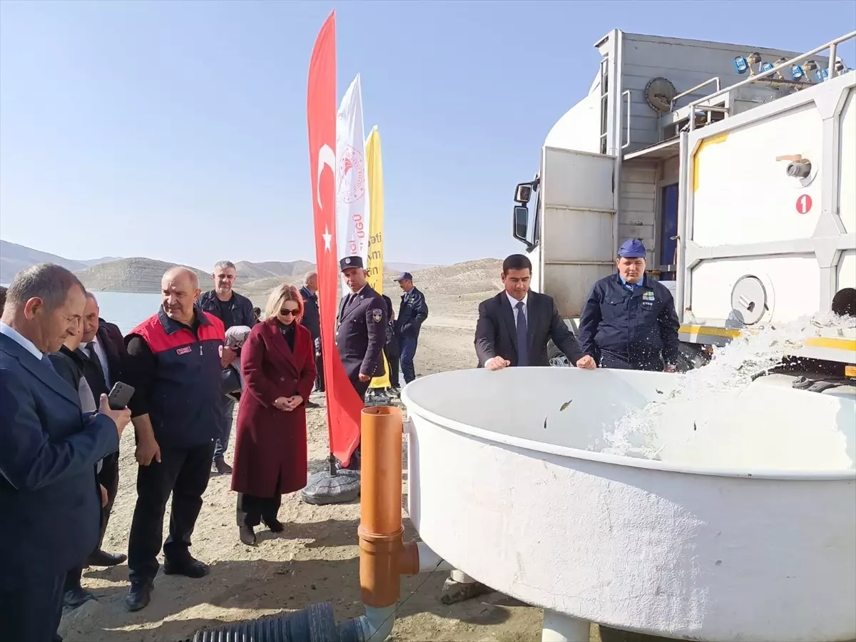 Elazığ'dan Nahçıvan'a 300 Bin Sazan Yavrusu Bırakıldı