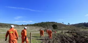 Hükümlüler Ormanları Koruma Projesinde Görev Alıyor