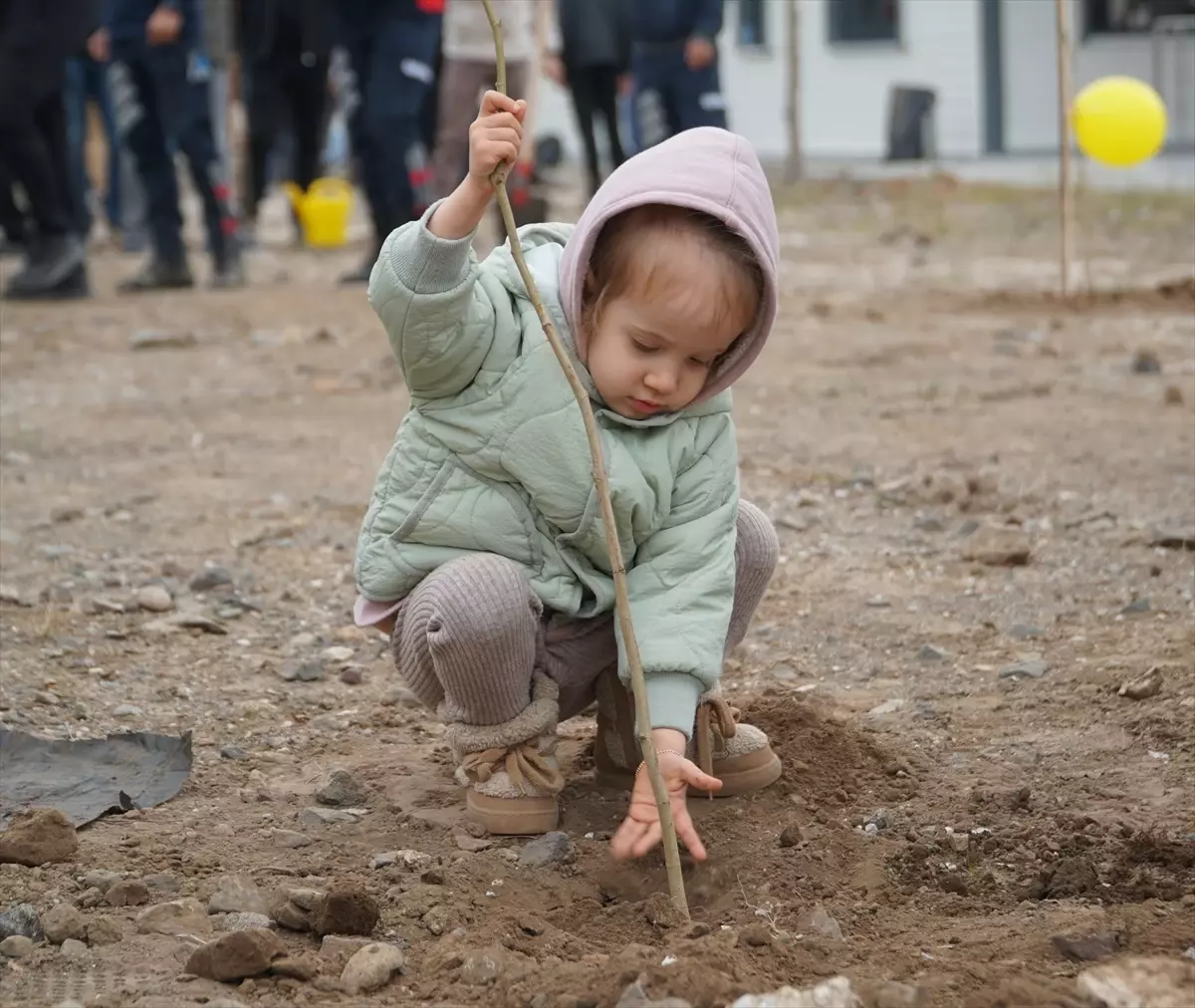 Osmancık'ta 11 Kasım Milli Ağaçlandırma Günü Etkinliği Düzenlendi