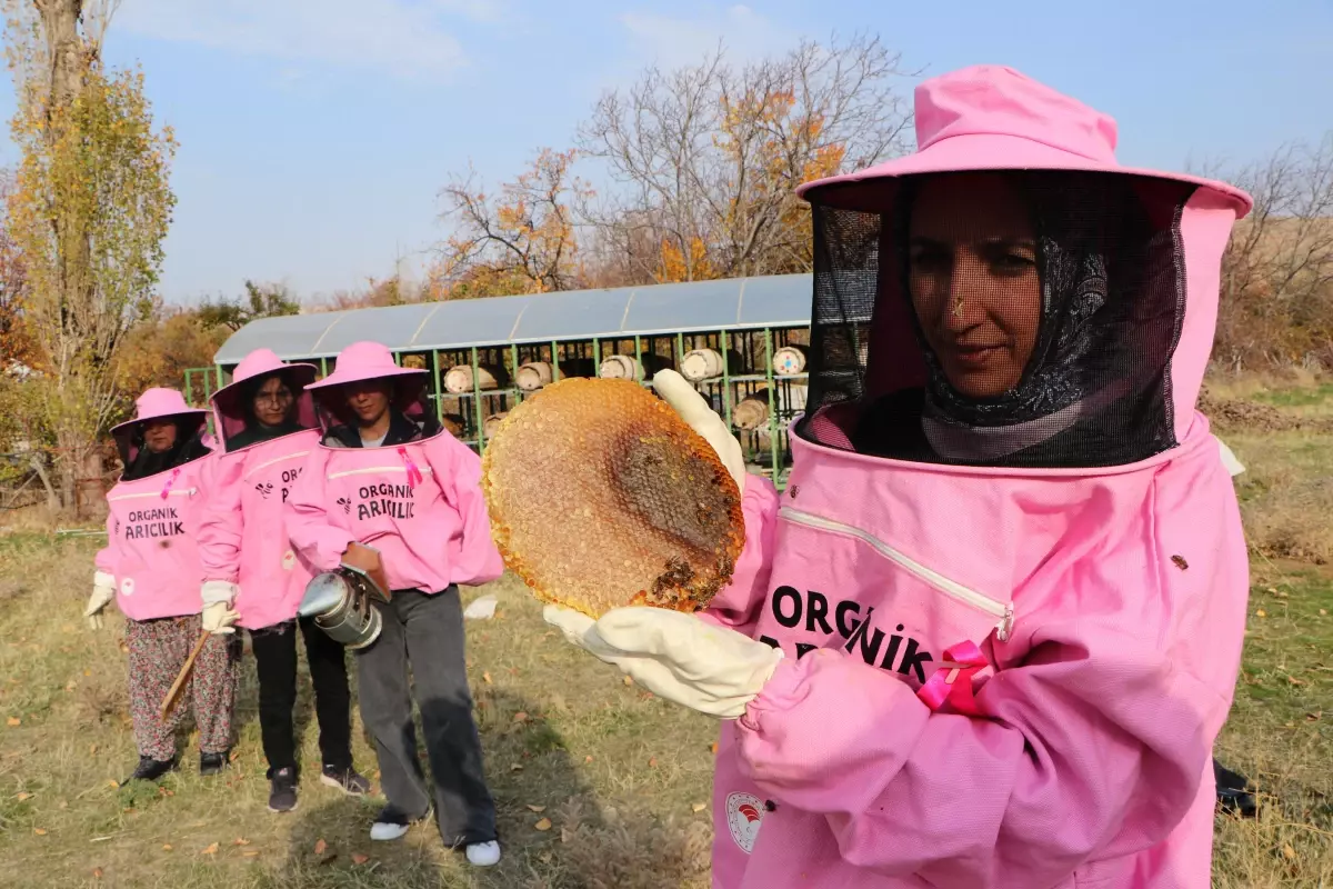 Van'da Kadın Arıcılardan Meme Kanseri Farkındalığı: Kara Kovan Balı Hasadı Başladı