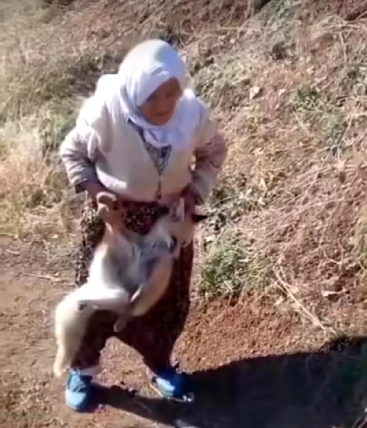 Cesur Nine Tayyibe Karabulut Hayatını Kaybetti