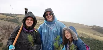 TİKA'dan Mostar'da Ağaçlandırma Destek