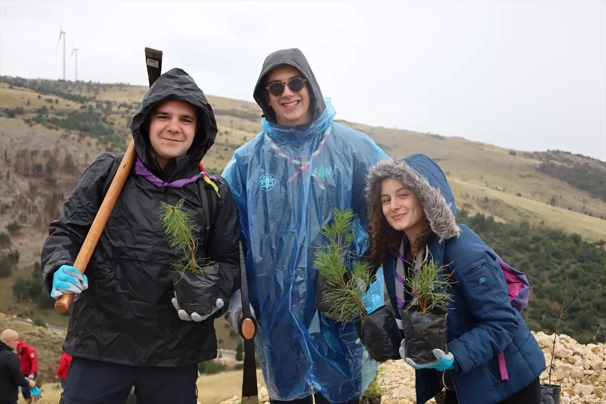 TİKA'dan Mostar'da Ağaçlandırma Destek