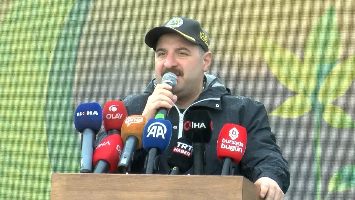 Varank: Kanunen, yanan ormanlar sadece orman yapılabilir