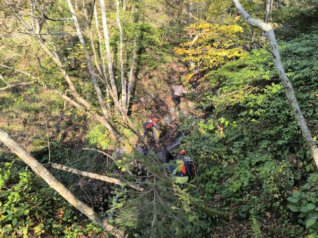 Kayıp annenin cesedi kuzgun sayesinde bulundu 4 kayip annenin cesedini kuzgunu takip eden 19244830 8234 m